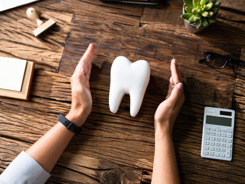 Hands covering tooth model on table