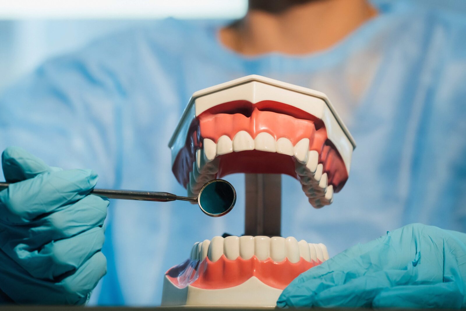 Dentist holding a mold of a person's teeth